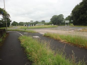 overgrown verges